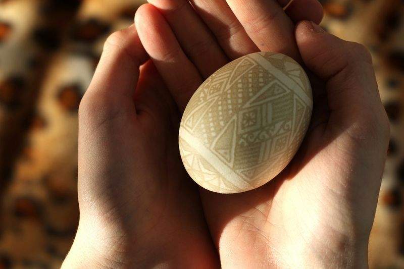 文化の翼株式会社 - Image 6